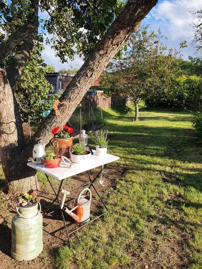Ferienhaus "Am Staufenberg" Blankenburg  Zewnętrze zdjęcie