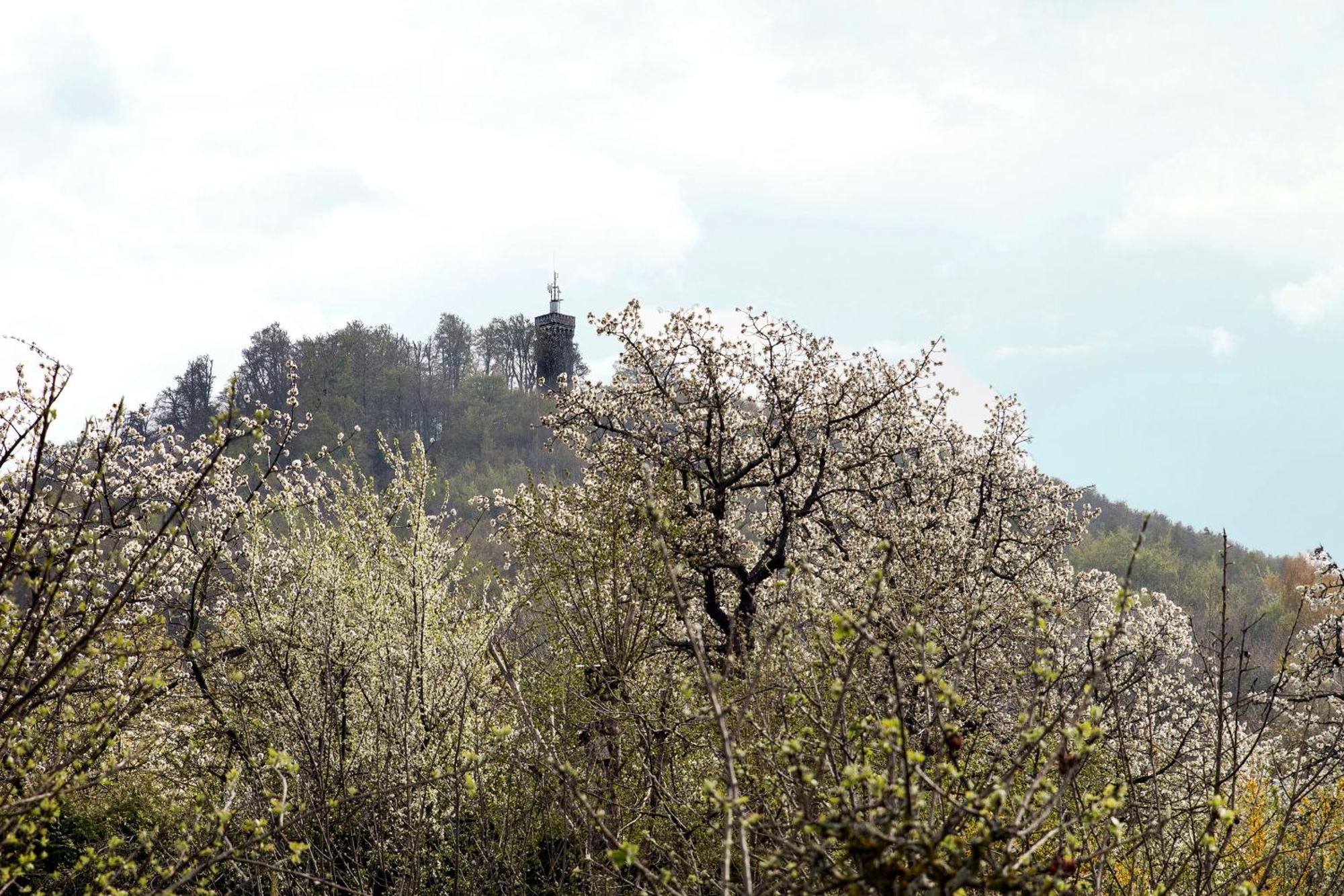 Ferienhaus "Am Staufenberg" Blankenburg  Zewnętrze zdjęcie